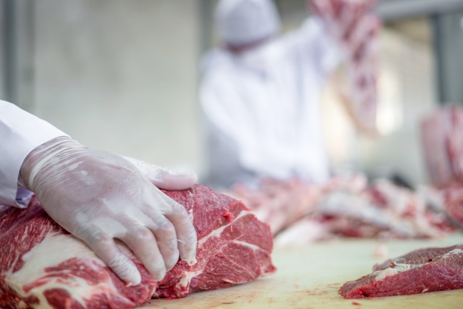Nuolatinės valstybinės veterinarinės priežiūros srityje nustatyti korupcijos rizikos veiksniai
