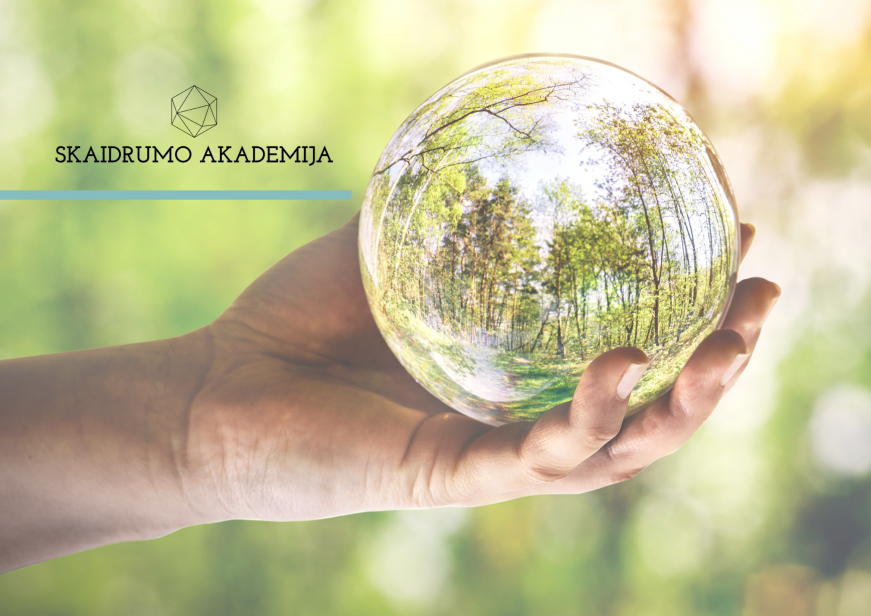 Diskusijos dalyviams buvo pristatytas Antikorupcinės aplinkos kūrimo ir integralumo valstybės ir...